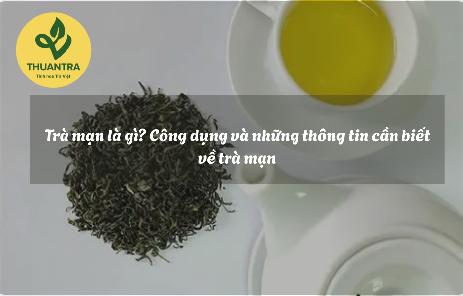 Trà mạn là gì? Công dụng và những thông tin cần biết về trà mạn
