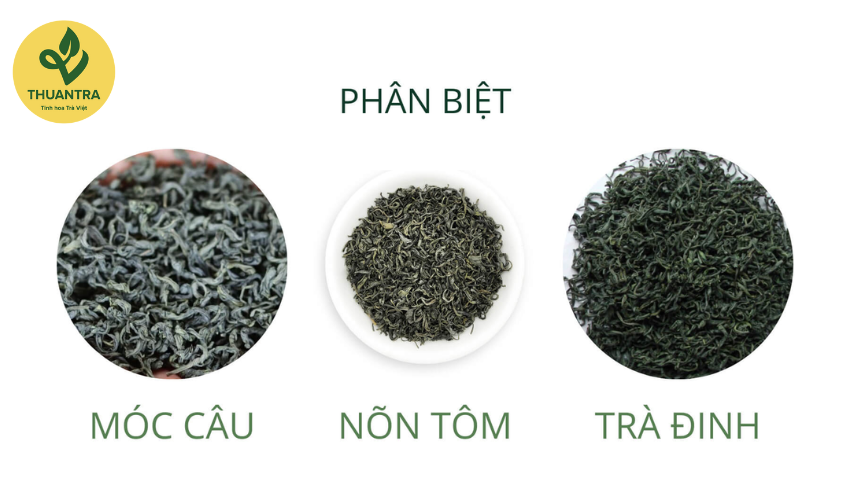 Phân Biệt Trà Đinh, Trà Móc Câu, Trà Nõn Tôm: Tinh Hoa Trà Tân Cương