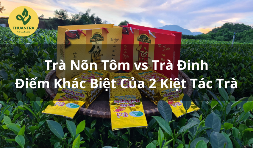 Trà Nõn Tôm vs Trà Đinh: Điểm Khác Biệt Của 2 Kiệt Tác Trà
