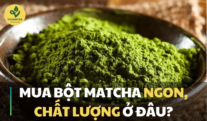 Nhận biết bột trà xanh thật, nguyên chất: Mua bột matcha ngon, chất lượng ở đâu?