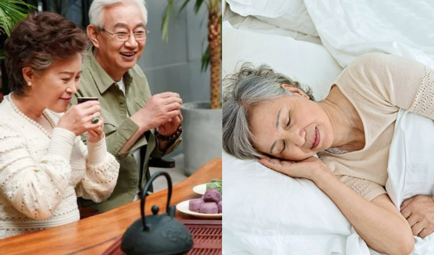Uống Trà Búp Thái Nguyên Nhiều Có Gây Mất Ngủ Không? Giải Mã Sự Thật