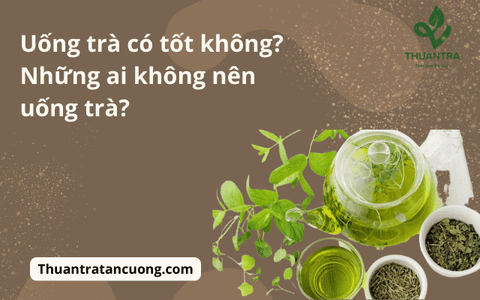 Uống trà có tốt không? Những ai không nên uống trà?