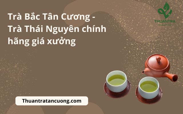 Trà Bắc Tân Cương - Trà Thái Nguyên chính hãng giá xưởng