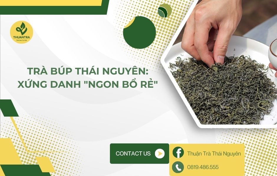 Trà búp Thái Nguyên: Xứng danh 