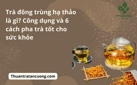 Trà đông trùng hạ thảo là gì? Công dụng và 6 cách pha trà tốt cho sức khỏe
