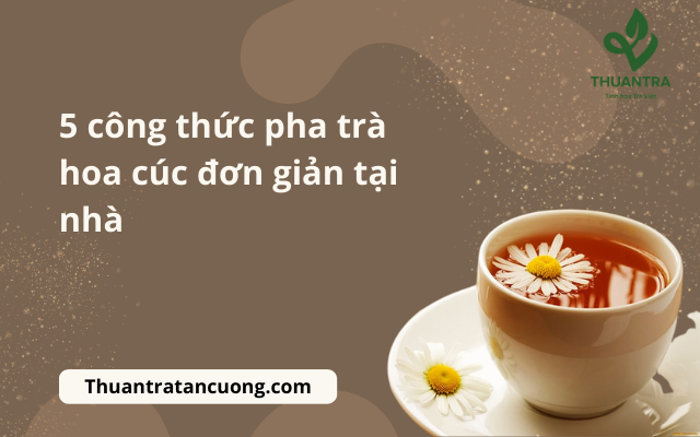 5 công thức pha trà hoa cúc đơn giản tại nhà