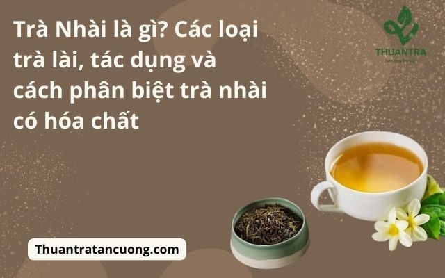 Trà Nhài là gì? Các loại trà lài, tác dụng và cách phân biệt trà nhài ...