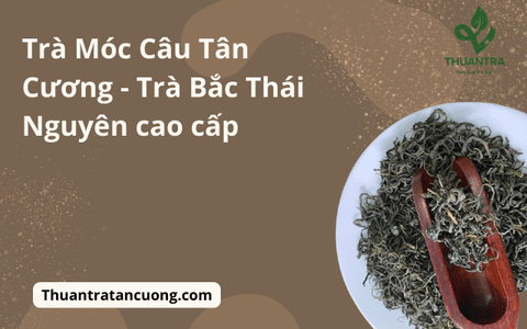 Trà Móc Câu Tân Cương - Trà Bắc Thái Nguyên cao cấp