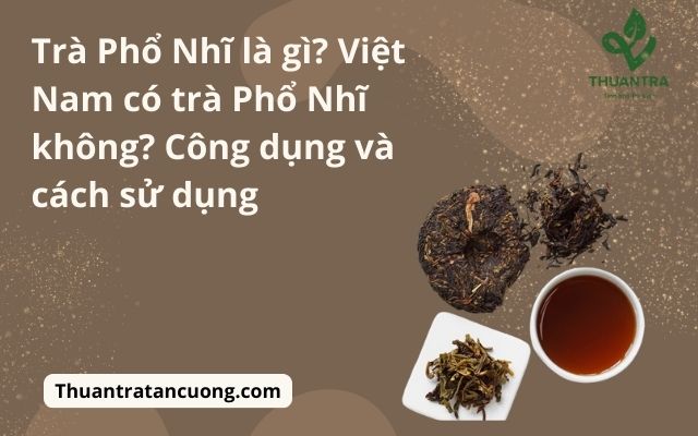 Trà Phổ Nhĩ là gì? Việt Nam có trà Phổ Nhĩ không? Công dụng và cách sử dụng