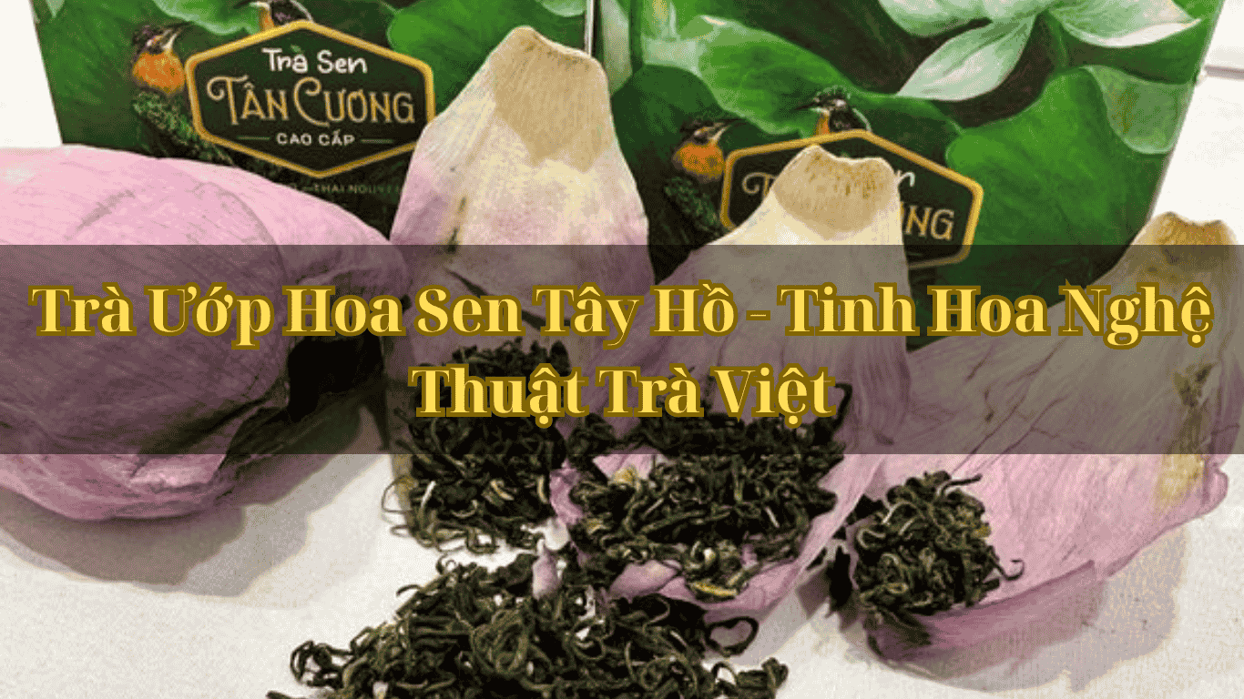 Trà Ướp Hoa Sen Tây Hồ - Tinh Hoa Nghệ Thuật Trà Việt