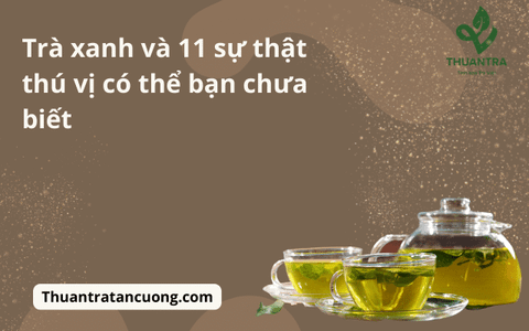 Trà xanh và 11 sự thật thú vị có thể bạn chưa biết