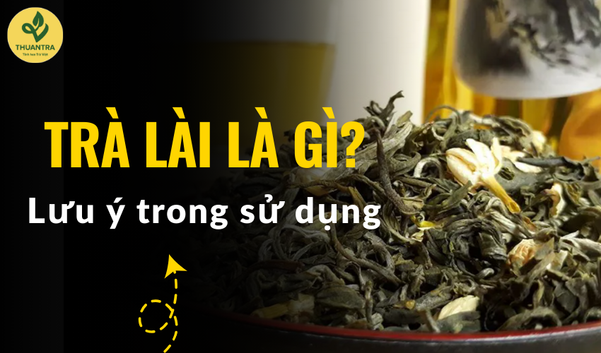 Trà lài là gì? Lưu ý trong sử dụng trà lài để tận dụng tối đa công dụng