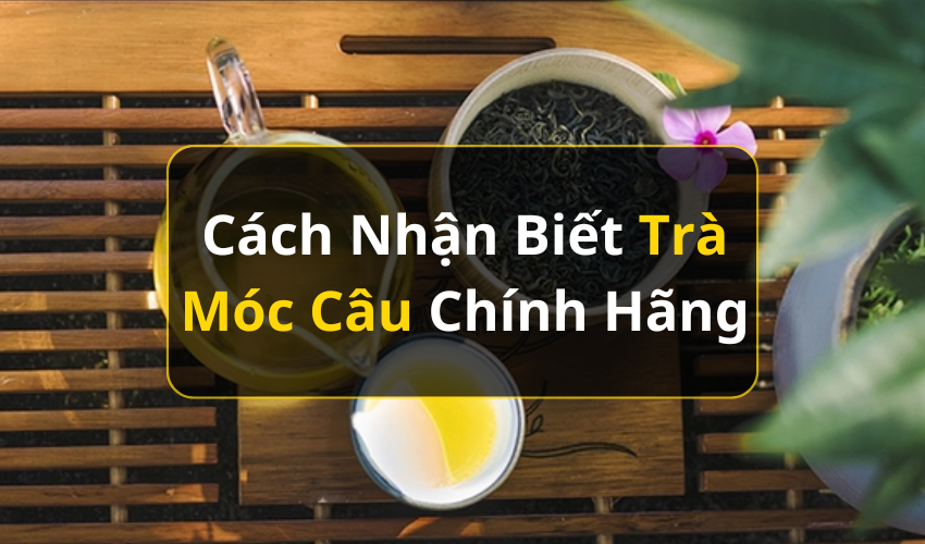 Cách Nhận Biết Trà Móc Câu Chính Hãng Và Những Lưu Ý Khi Mua Trà