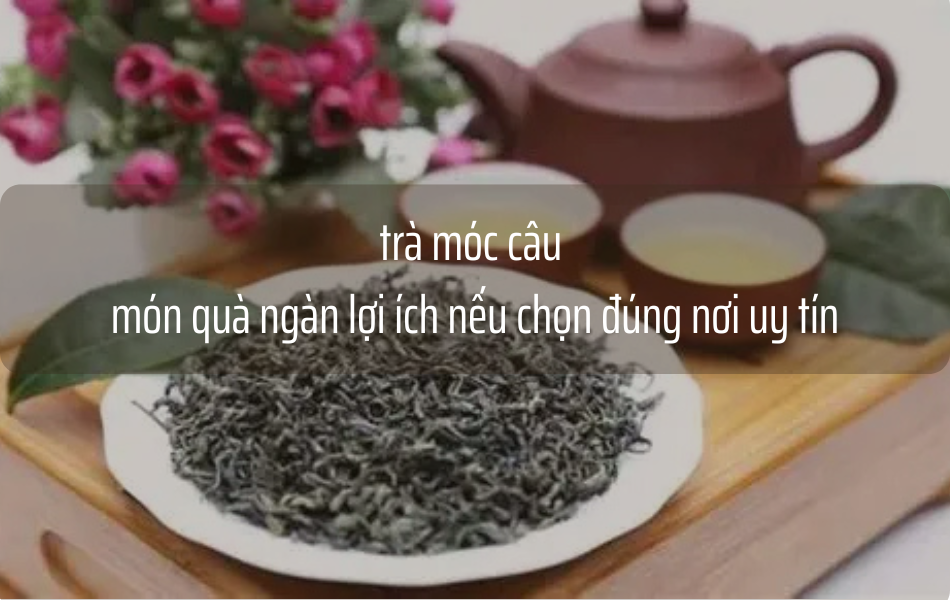 trà móc câu đặc biệt - món quà Ngàn Lợi Ích Cho Sức Khỏe khi chọn đúng nơi uy tín