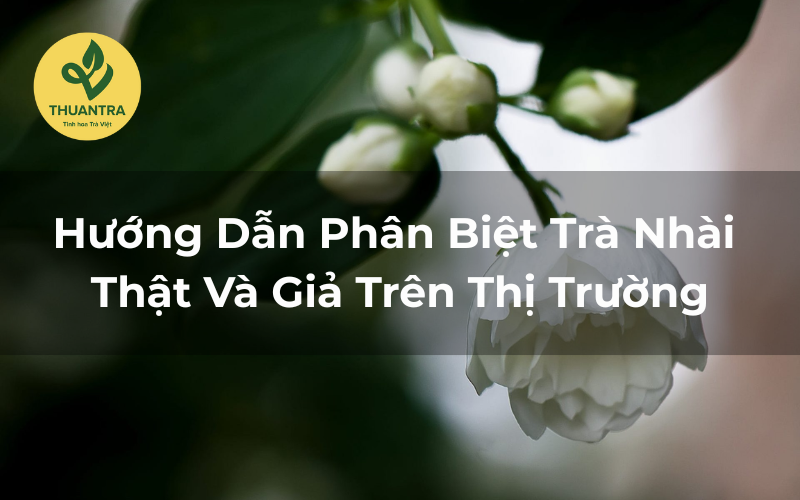 Hướng Dẫn Phân Biệt Trà Nhài Thật Và Giả Trên Thị Trường