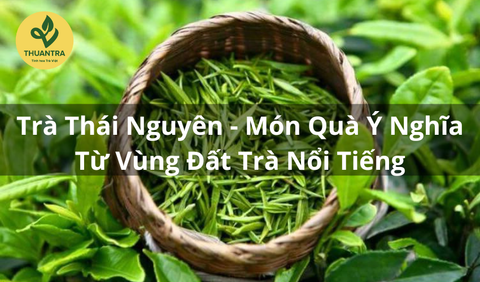 Trà Thái Nguyên - Món Quà Ý Nghĩa Từ Vùng Đất Trà Nổi Tiếng