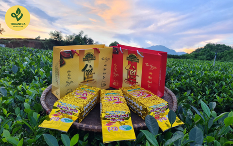 Uống Trà Xanh Mỗi Ngày: Điều Gì Sẽ Xảy Ra Với Cơ Thể Bạn?