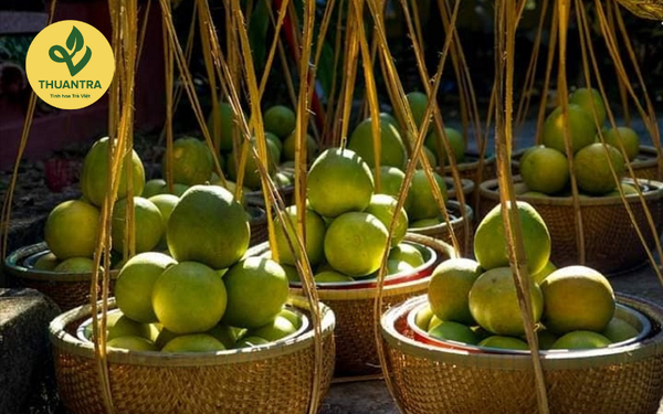 lịch sử phát triển