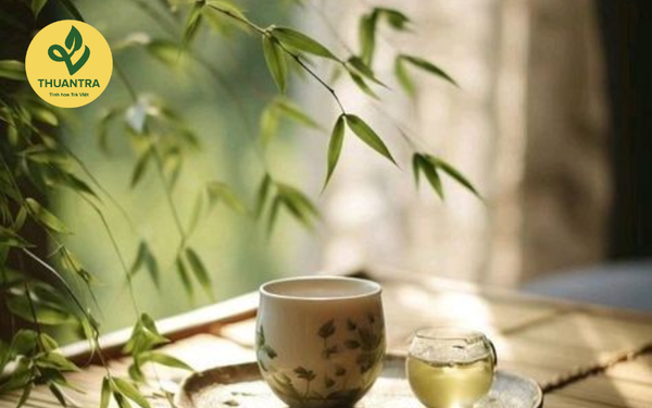 lịch sử phát triển