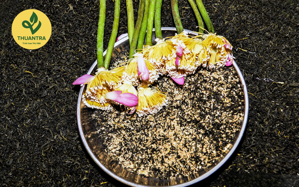 gạo sen bách diệp