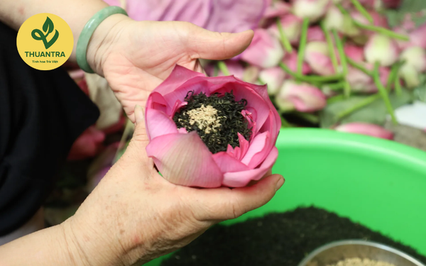 gạo sen bách diệp