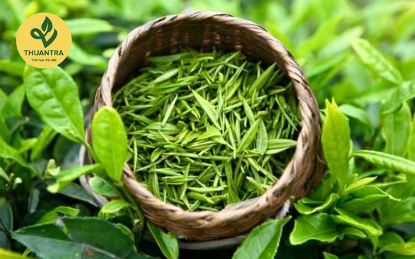 hương vị trung thu