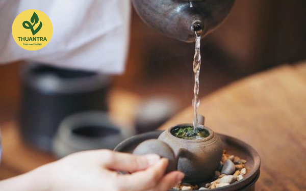 bí quyết pha trà búp