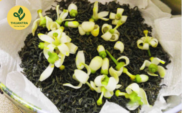 trà bưởi