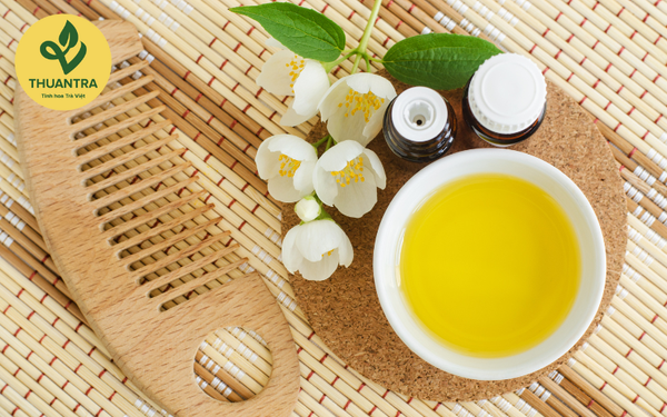 Khám Phá Trà Hoa Nhài: Biểu Tượng Văn Hóa và Ứng Dụng Độc Đáo
