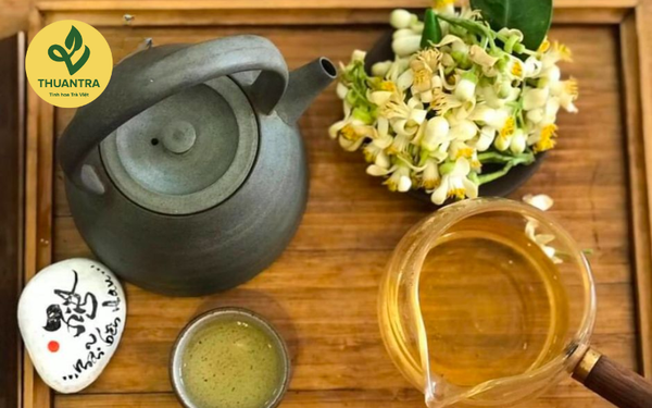trà bưởi