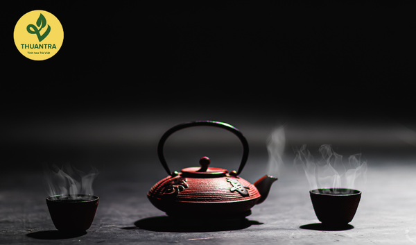 Đau Dạ Dày Uống Trà Tấm Đinh Được Không? Lời Khuyên Từ Chuyên Gia