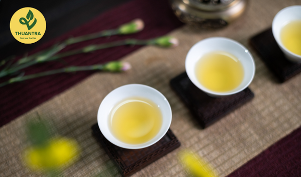 Tất Tần Tật Về Trà Tân Cương: 10 Câu Hỏi Và Lời Giải Đáp