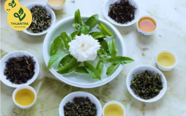 QUY TRÌNH CHẾ BIẾN