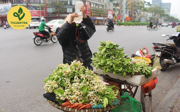 CÁCH UỐNG TRÀ BƯỞI