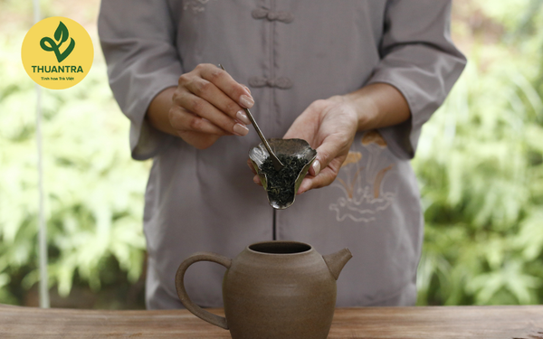 CÁCH UỐNG TRÀ BƯỞI
