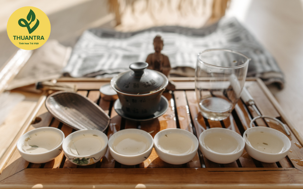Làm Sao Chọn Trà Sạch Chất Lượng Cao Tại Thái Nguyên Đúng Chuẩn?