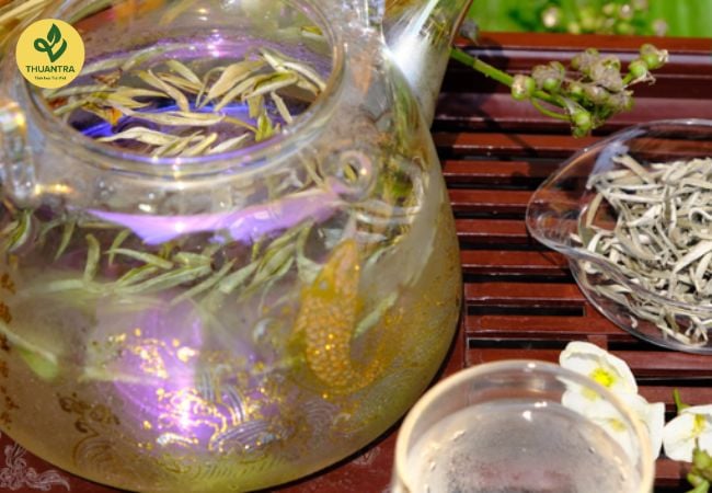 Trà Shan Tuyết: Bí Quyết Chọn Mua Và Bảo Quản Để Giữ Lại Hương Vị