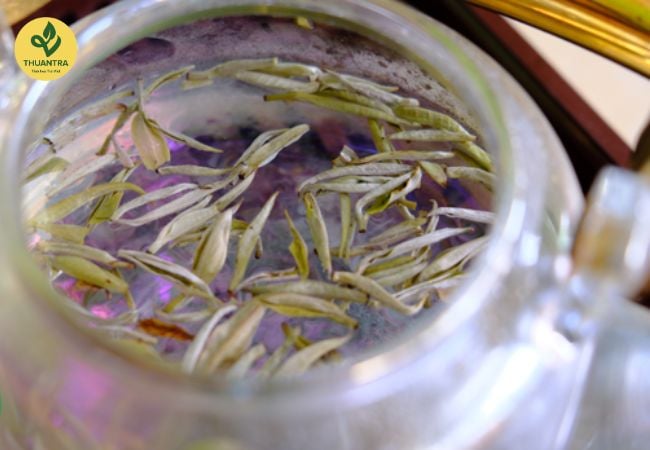 Trà Shan Tuyết: Bí Quyết Chọn Mua Và Bảo Quản Để Giữ Lại Hương Vị