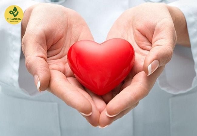 Trà Shan Tuyết: Bí Quyết Chọn Mua Và Bảo Quản Để Giữ Lại Hương Vị