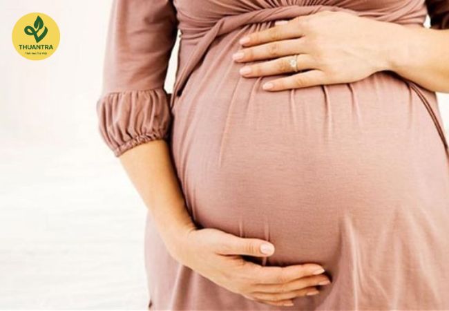 Trà Ô Long: Thảo dược quý cho sức khỏe của bạn