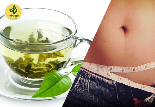 Khám Phá Những Công Dụng Bất Ngờ Của Trà Xanh Trong Quá Trình Giảm Cân