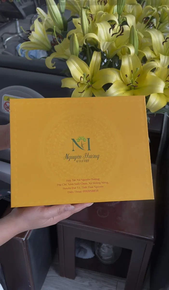 Hộp quà trà màu vàng – mua trà móc câu chính hãng