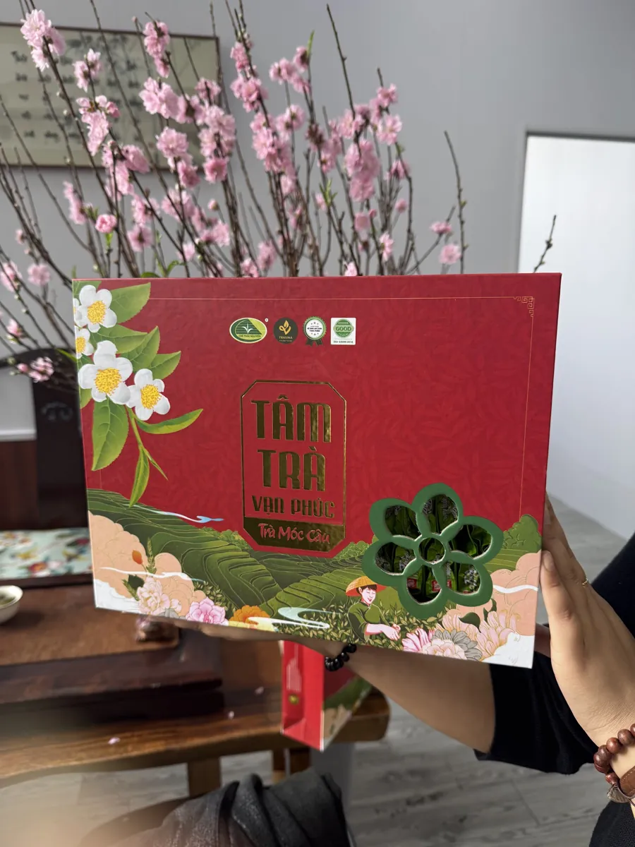 Hộp quà trà Tết màu đỏ cạnh cành đào