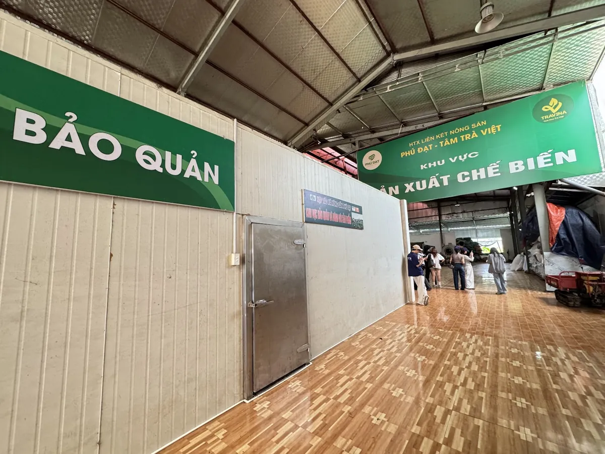 Kho bảo quản trà tại xưởng chế biến