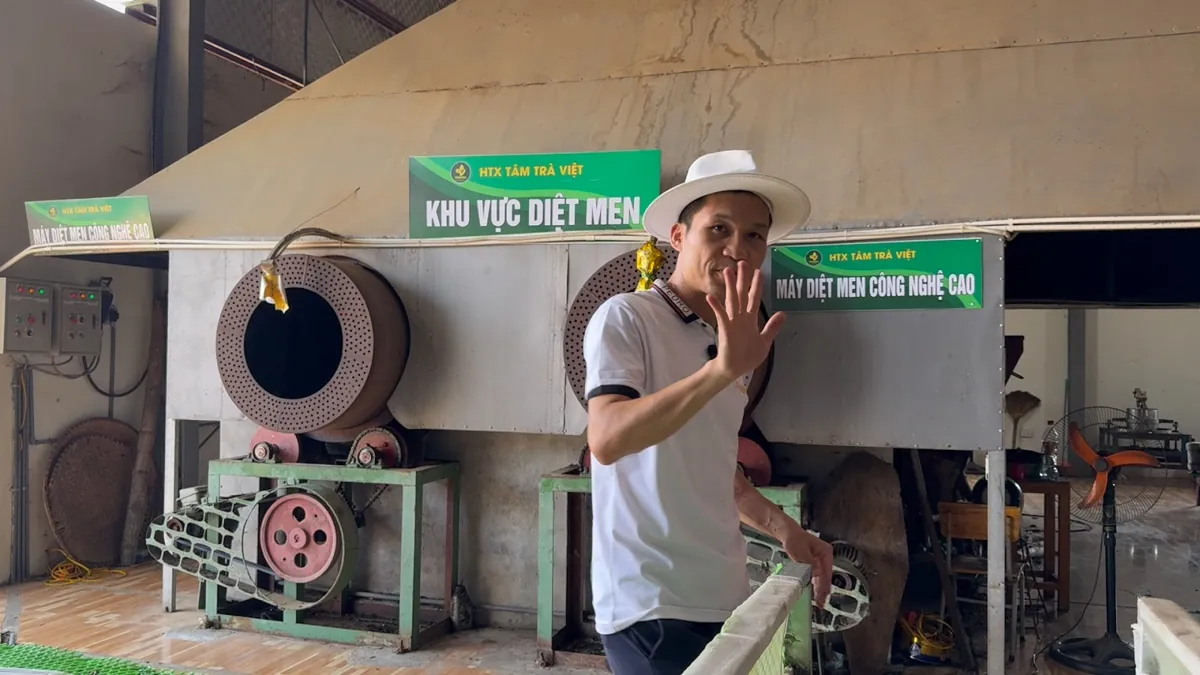 Khu vực diệt men của xưởng – trà Phổ Nhĩ là gì