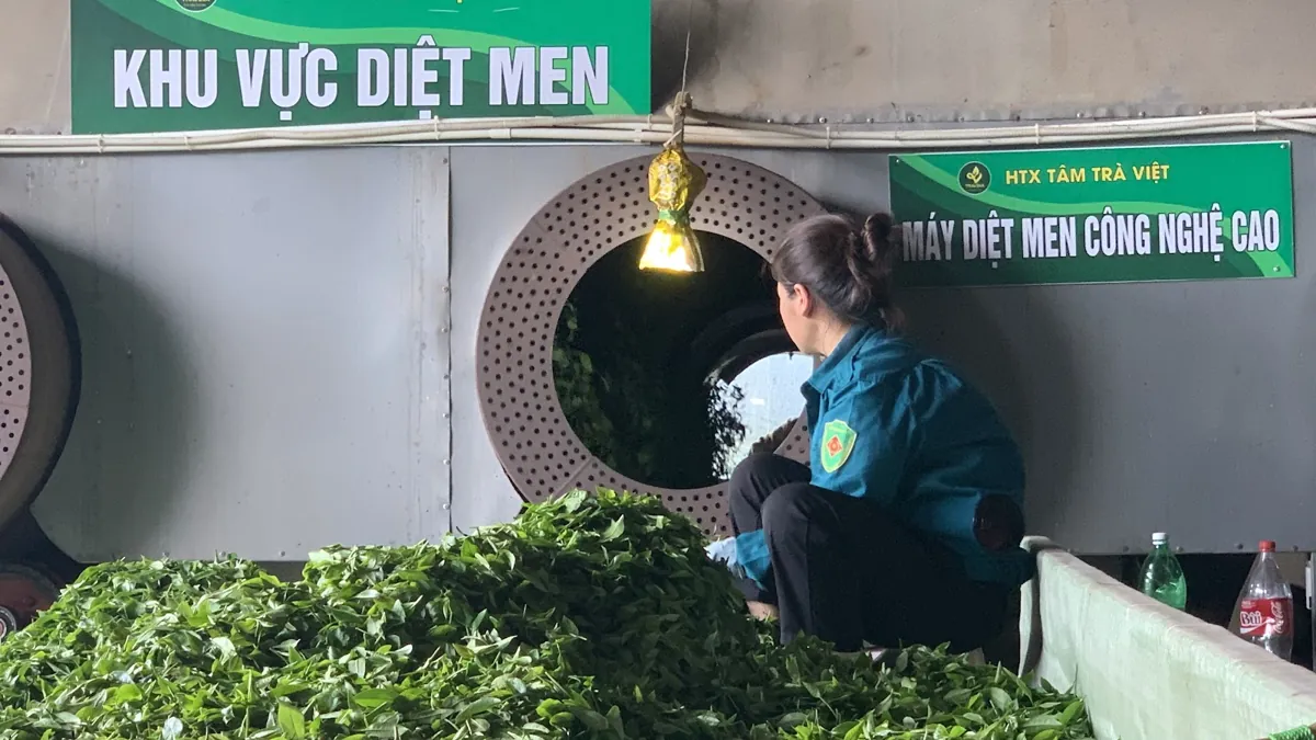 Khu vực diệt men tại xưởng HTX Tâm Trà Việt
