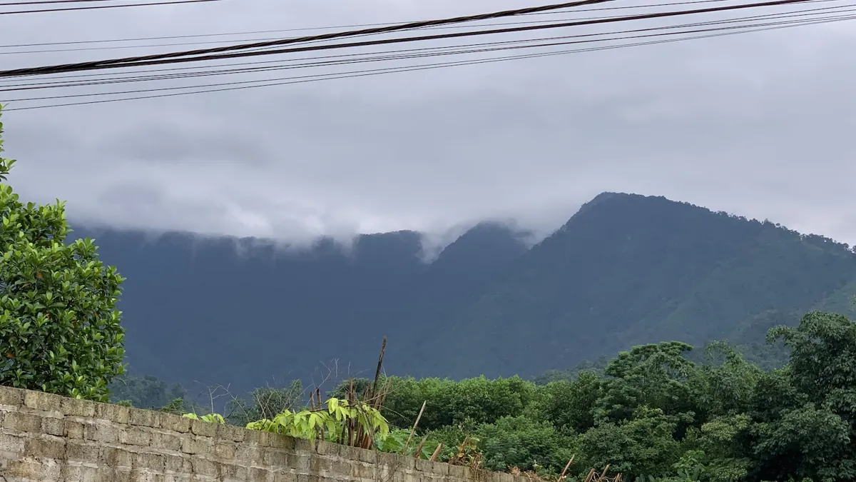 Mây phủ dãy núi gần vùng chè