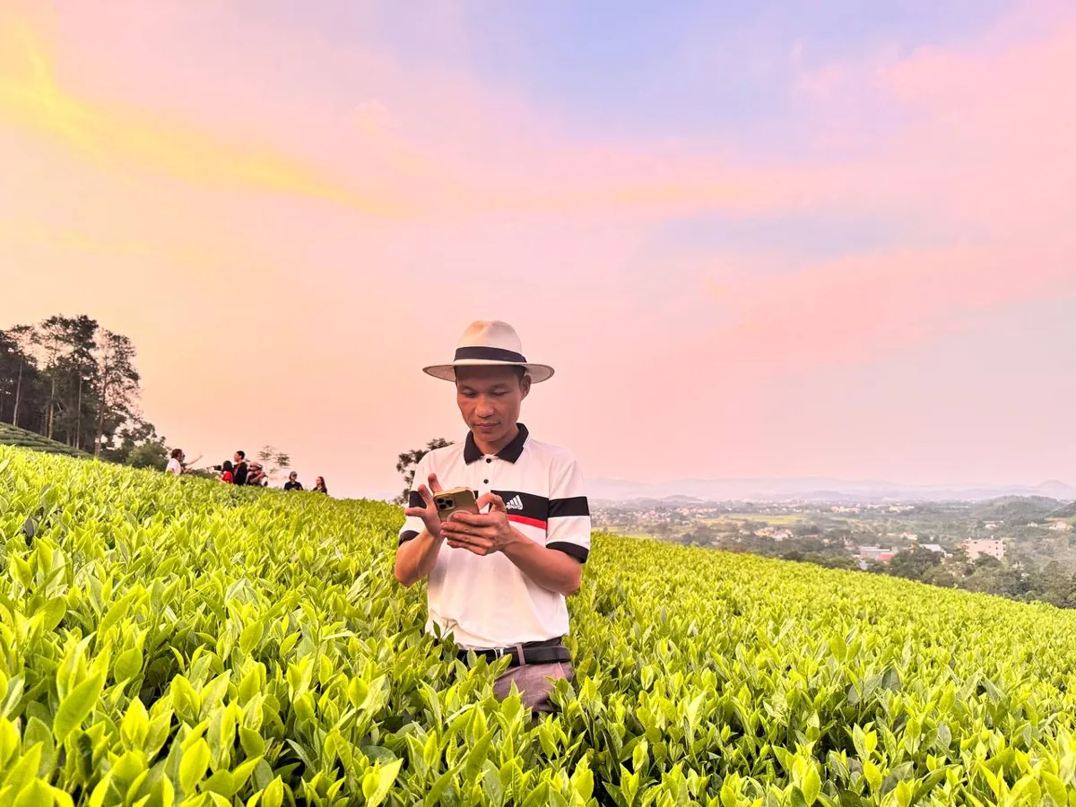 Người làm chè trên đồi chè lúc chiều