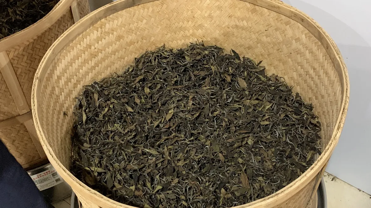 Nong trà khô tại xưởng – kẹo lạc trà xanh