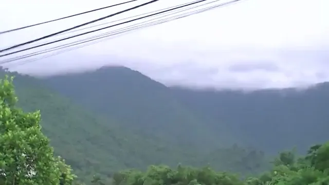 Núi và đồi chè mùa mưa – vùng nguyên liệu làm Hồng Trà Giải Rượu